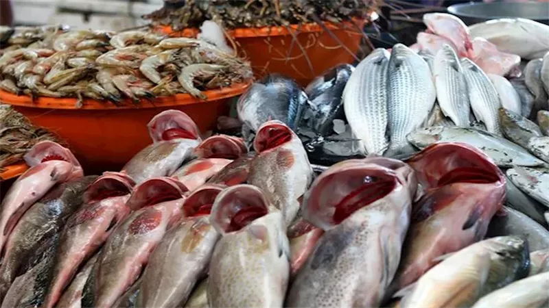 سعر السمك