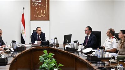 الحكومة تتحرك لاحتواء ظاهرة الكلاب الضالة.. مدبولي يوجه بخطة وطنية متكاملة تجمع بين حماية المواطنين والاعتبارات البيئية