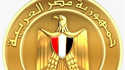 مجلس الوزراء: حريق سفينتي ميناء دمياط جراء استهداف طائرة مسيّرة مجهولة 