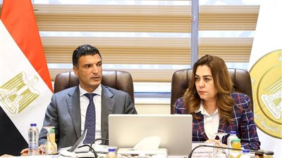 التنمية المحلية والصناعة تبحثان دعم مشروعات هيئة تنمية الصعيد وتسريع تنفيذها