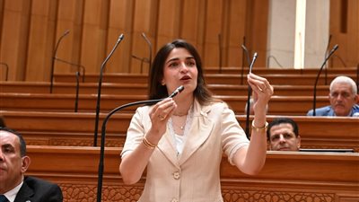 إيرين سعيد: معايير استبعاد المواطنين من التموين غير عادلة