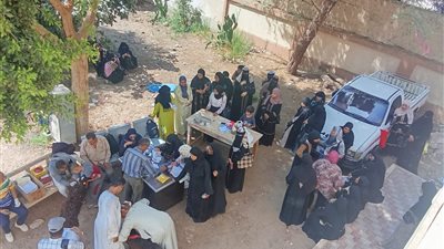 الطب البيطري بسوهاج يسلم 10رؤوس أغنام لمستفيدين بساقلته ضمن مشروع «باب أمل»