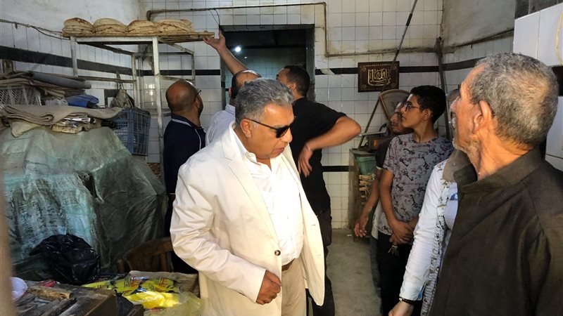 محافظ الدقهلية يتابع