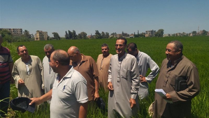 جولات مديرية الزراعة