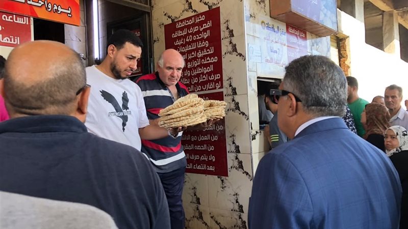 محافظ الدقهلية يتابع