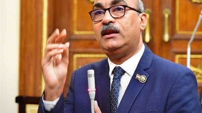 النائب إيهاب منصور، وكيل لجنة القوى العاملة بمجلس النواب