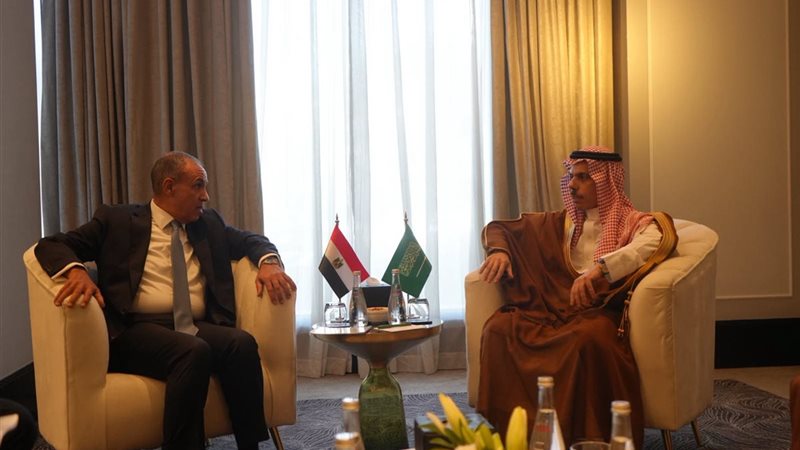 وزير الخارجية  ونظيره