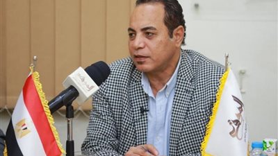 جمال عبد الرحيم: منتحلو صفة «صحفي» أكثر من المقيدين بالنقابة