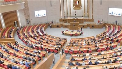 أرقام محمول بأسماء مواطنين دون علمهم.. نواب يطالبون بإيقاف الخط فوراً والتحقق من الملكية