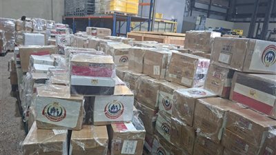 مصر تقدم شحنة أدوية جديدة لدعم القطاع الصحي اللبناني