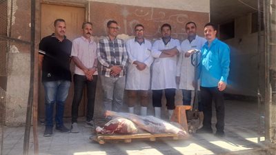 ضبط 175 كيلو لحوم ومصنعات فاسدة خلال حملة رقابية على الأسواق بسوهاج