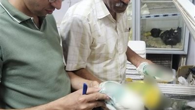 ضبط طن مواد غذائية يُشتبه في عدم صلاحيتها بسوهاج