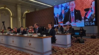 وزير المالية: نتطلع إلى نظام مالى عالمى أكثر استجابة لأولويات النمو والتنمية