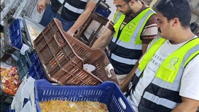 تكثيف الحملات الرقابية على منشآت تصنيع وبيع حلوى المولد النبوي بالغربية