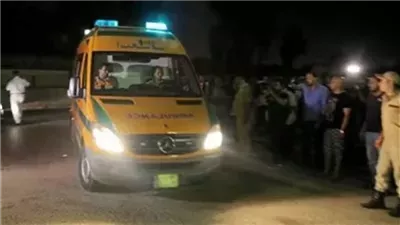 بالأسماء.. إصابة 10 أشخاص في انقلاب ميكروباص بصحراوي ملوي بالمنيا