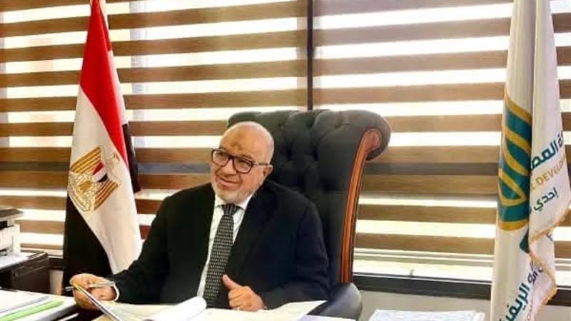 محمد السعدني، الرئيس