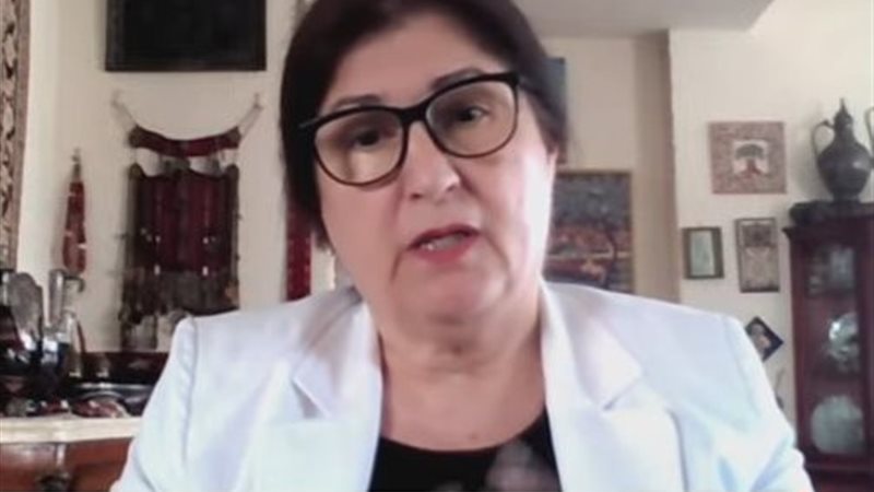 الدكتورة فارسين شاهين