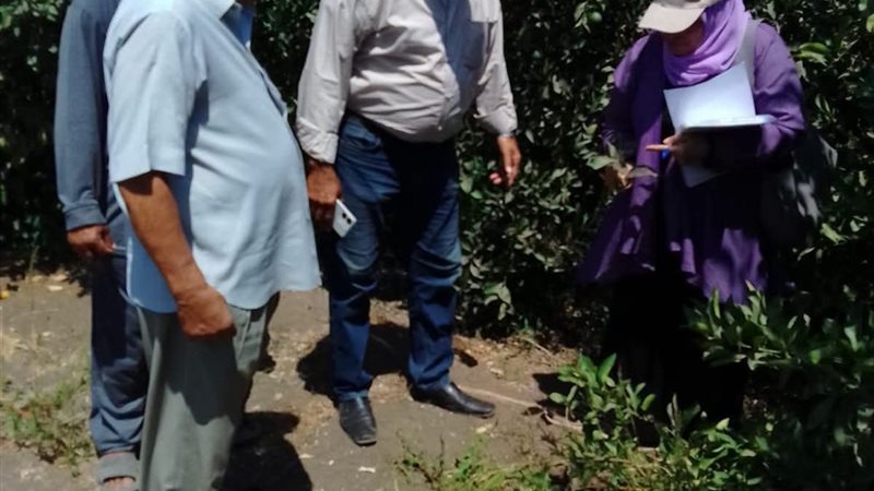 جهود وزارة الزراعة