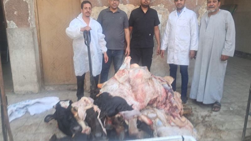 المضبوطات من اللحوم