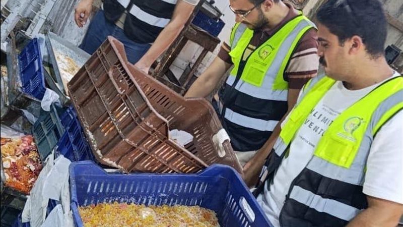 صناعة الحلوى بالغربية 