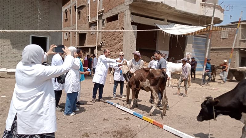 قافلة بيطرية مجانية