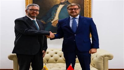 مصر وفنزويلا تبحثان تعزيز التعاون ومشاركة الشركات المصرية في إعادة الإعمار