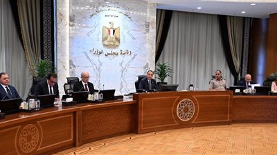 من طب الأسنان والصيدلة للذكاء الاصطناعي.. برامج جديدة بفروع جامعات دولية في مصر