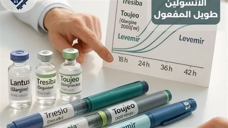 الإنسولين 