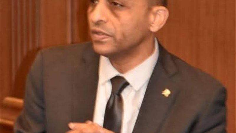 فارس حسني