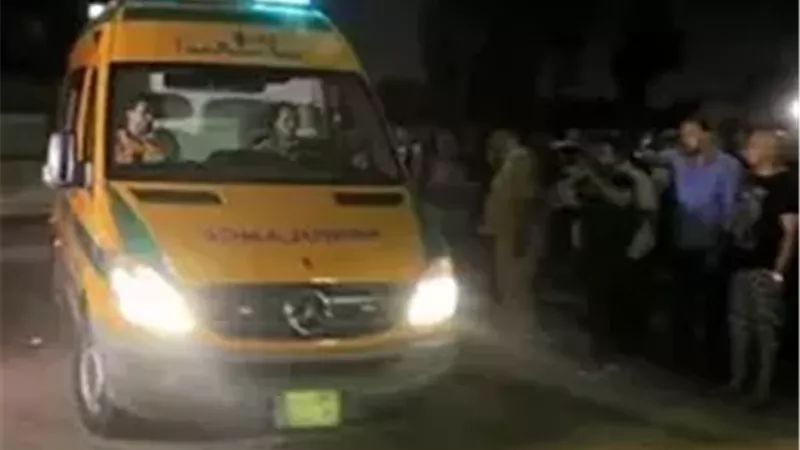 أرشيفية