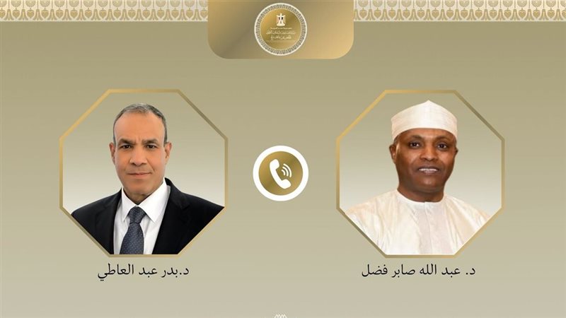 وزيرا خارجية مصر