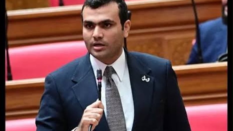 النائب حسين هريدي