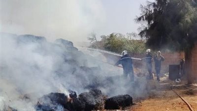 الجزائر تعلن السيطرة على أكثر من 30 حريقا جديدا.. واستمرار حالة التأهب