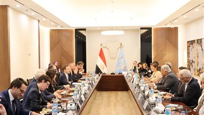 لمناقشة التحديات الدولية المشتركة.. القومي لحقوق الإنسان يستقبل وفدًا من البرلمان النمساوي