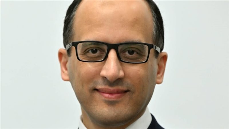  المستشار محمد الحمصاني