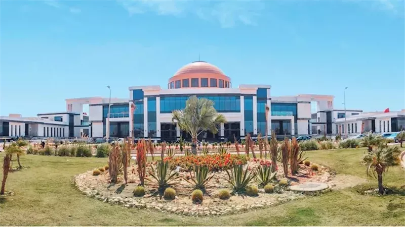 مدينة زويل 