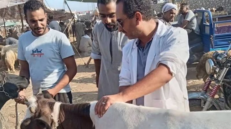 الجيزة تطلق الحملة