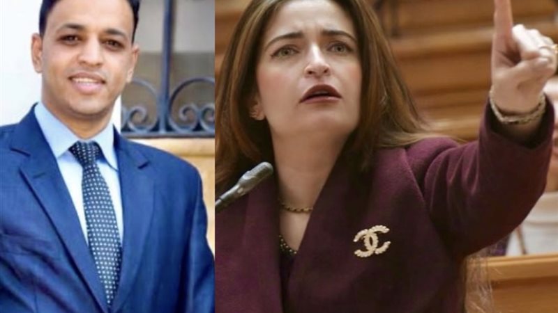 النائبة إيرين سعيد