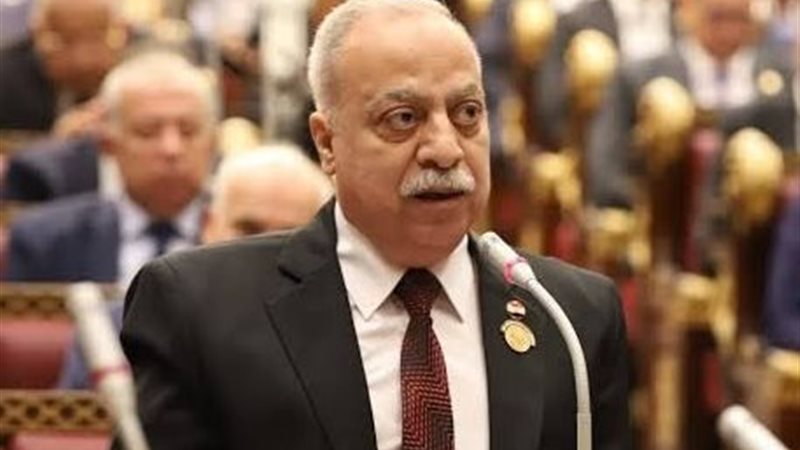 النائب حسني سبالة،